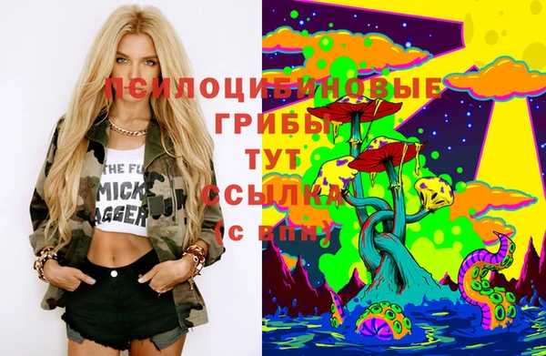 хмурый Чегем