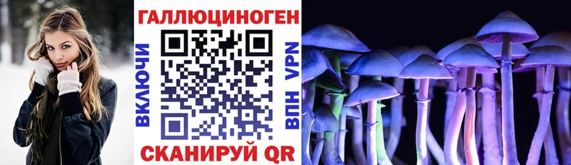 где купить наркотик  Александров  Галлюциногенные грибы ЛСД 